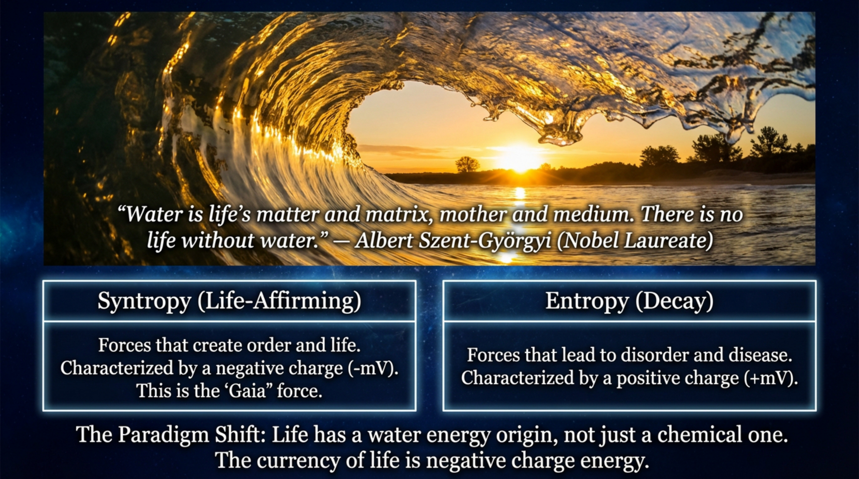 Water's Molecular Structure