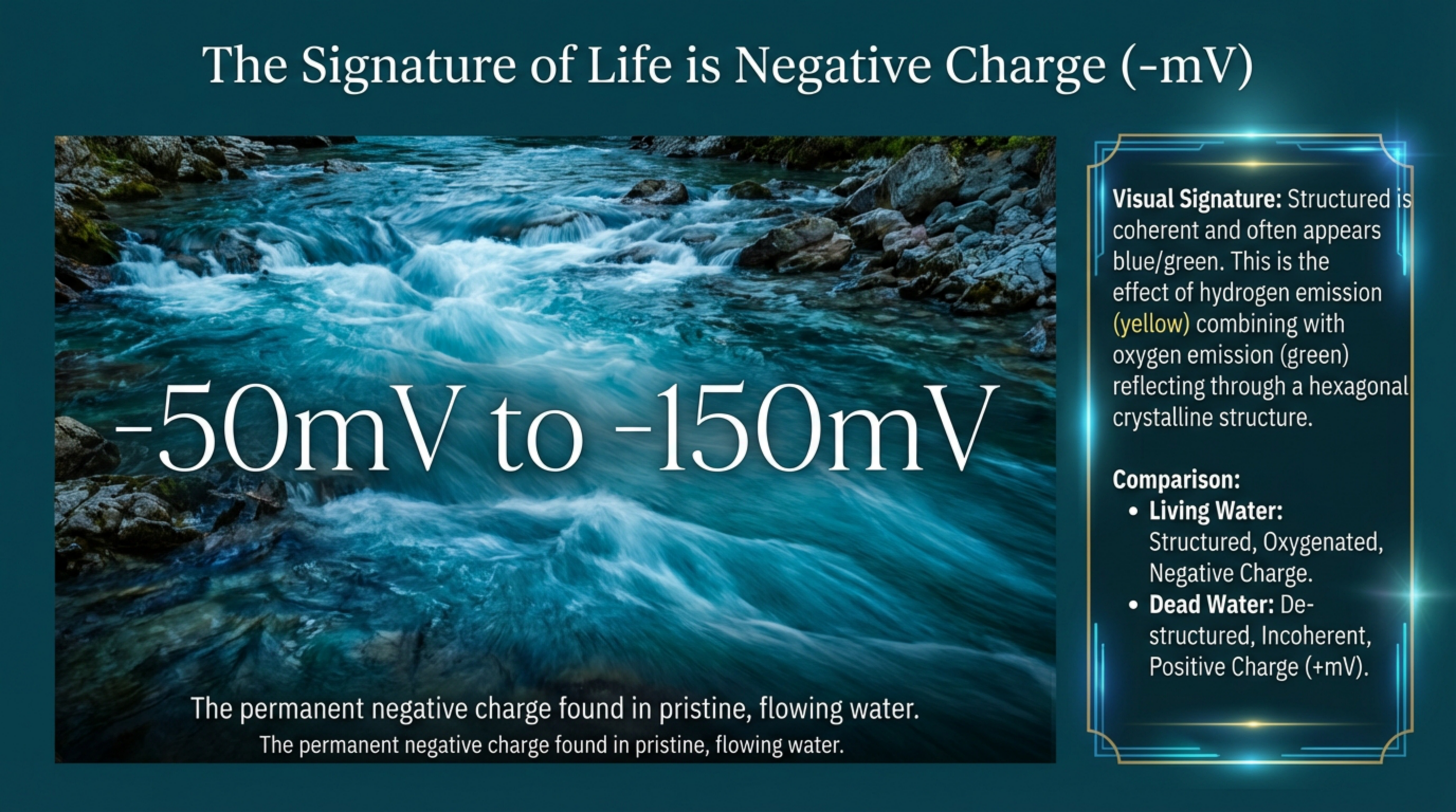 Structured Water Science