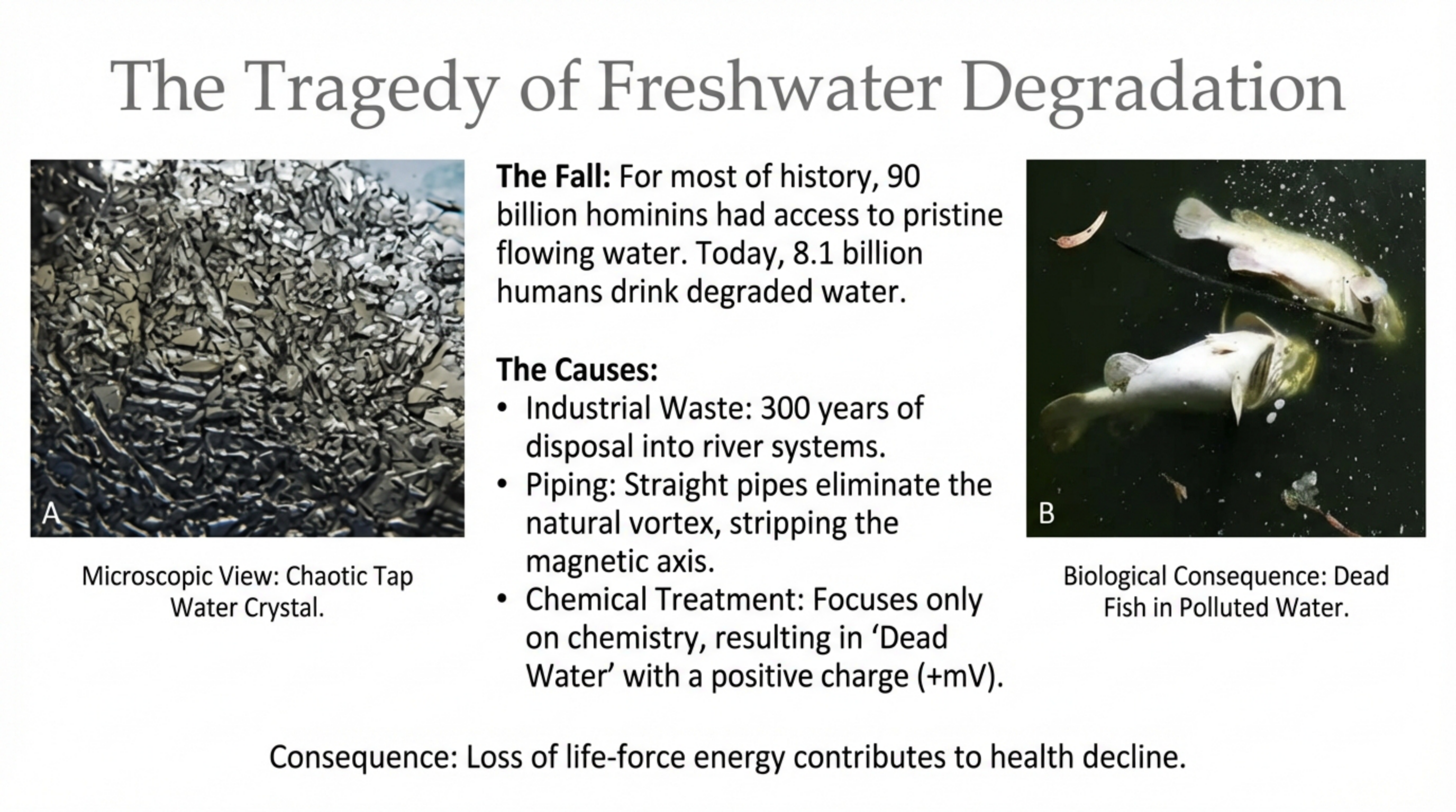 The Charge of Vitality